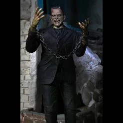 TOY TOKYO NECA: Ultimate Frankenstein's Monster Color 7