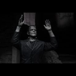 TOY TOKYO NECA: Ultimate Frankenstein's Monster Black & White 7" Tall Action Figure 25 TOY TOKYO NECA: Ultimate Frankenstein's Monster Black & White 7