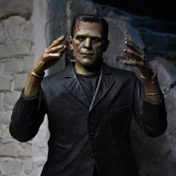 TOY TOKYO NECA: Ultimate Frankenstein's Monster Color 7