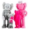 TOY TOKYO KAWS - Family Grey/Pink, 2022