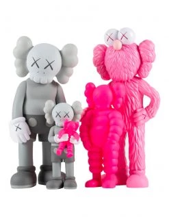 TOY TOKYO KAWS - Family Grey/Pink, 2022