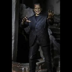 TOY TOKYO NECA: Ultimate Frankenstein's Monster Color 7