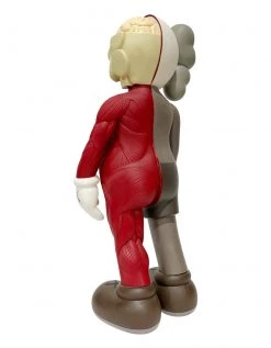 TOY TOKYO KAWS - Five Years Later Dissected Companion Brown, 2006