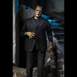 TOY TOKYO NECA: Ultimate Frankenstein's Monster Color 7