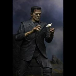 TOY TOKYO NECA: Ultimate Frankenstein's Monster Color 7