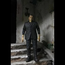 TOY TOKYO NECA: Ultimate Frankenstein's Monster Color 7