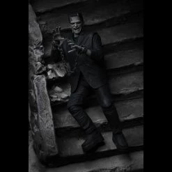 TOY TOKYO NECA: Ultimate Frankenstein's Monster Black & White 7" Tall Action Figure 30 TOY TOKYO NECA: Ultimate Frankenstein's Monster Black & White 7