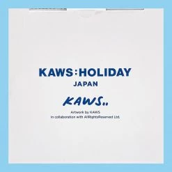 TOY TOKYO KAWS: Holiday - JAPAN Mount Fuji Fire King Mug Set Of 2 Multicolor